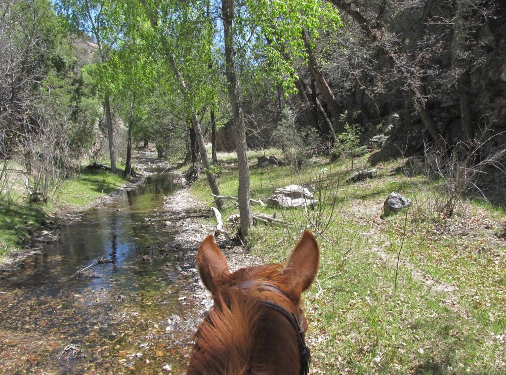 Wilderness, Geronimo Trail Guest Ranch, Horseback Riding, Trail Riding, New Mexico