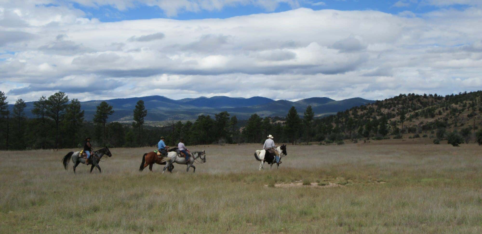 Reiten bei Geronimo Trail Guest Ranch, Gila Nationalwald, New Mexico, Trailreiten, Dude Ranch, Guest Ranch, Abenteuerreisen