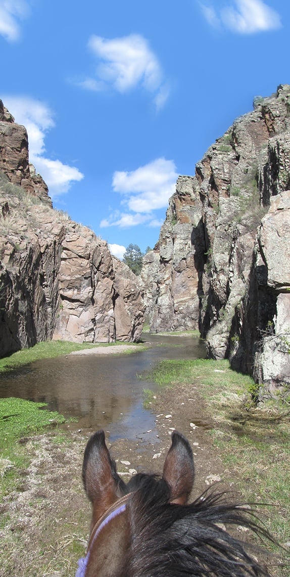 Horseback Riding through the Narrows in Taylor Creek Canyon, Gila National Forest, New Mexico. Items to Bring.