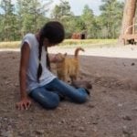 girl playing with cat