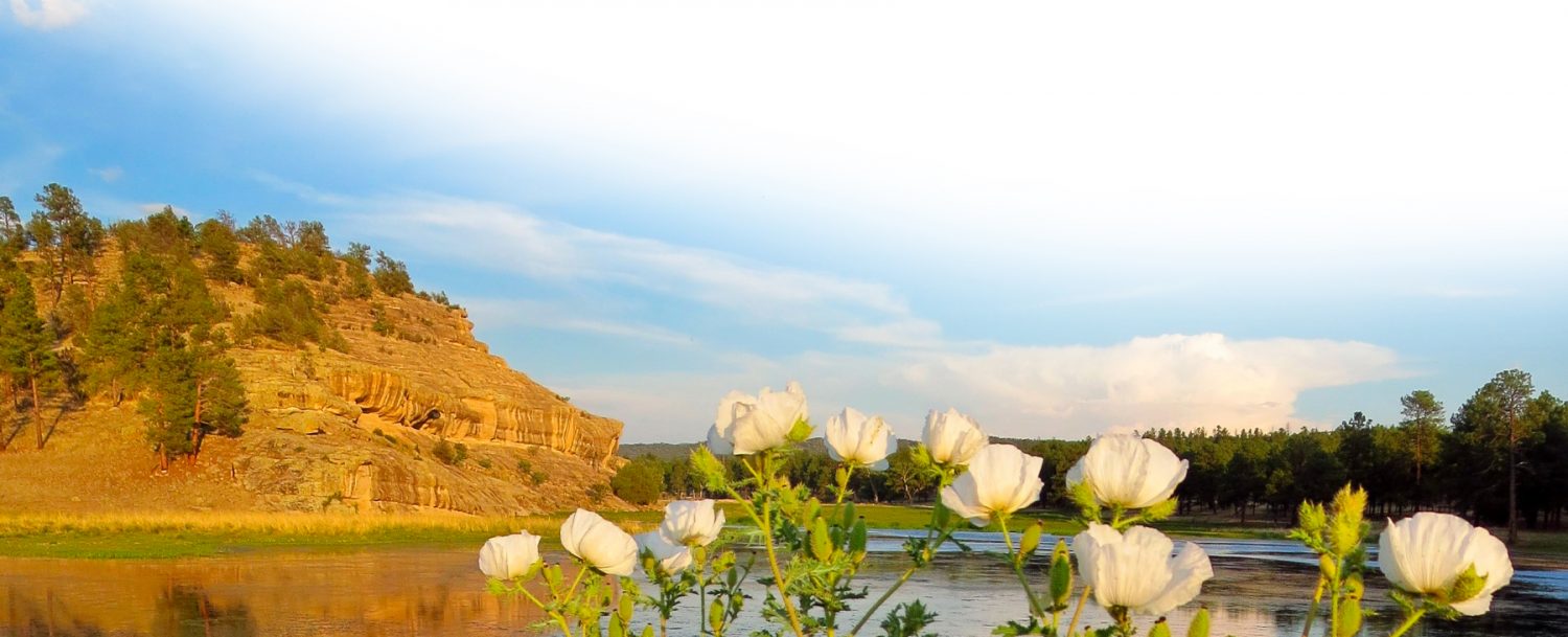 new-mexico-weather-geronimo-ranch