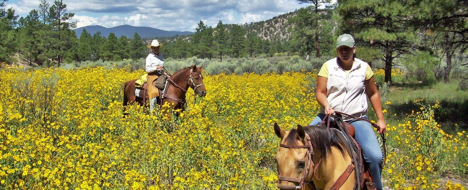Horseback riding in a field full of flowers on Geronimo Trail Guest Ranch.