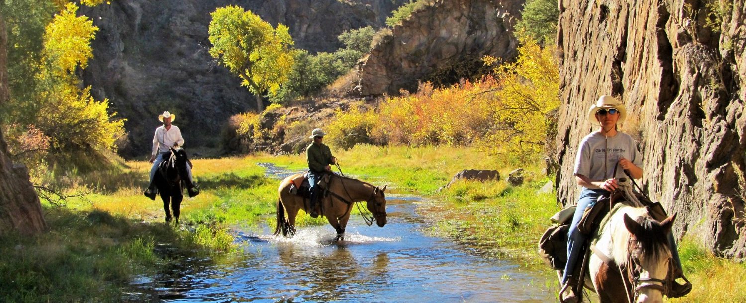 Geronimo Trail Guest Ranch, New Mexico horseback riding in the Gila National Forest.