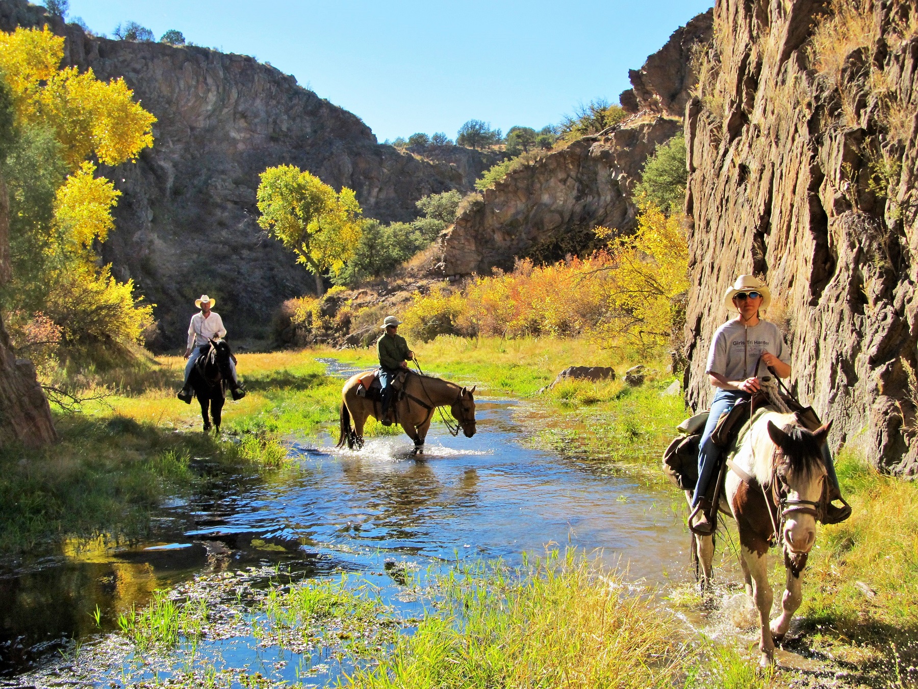 Geronimo Trail Guest Ranch, New Mexico horseback riding in the Gila National Forest.