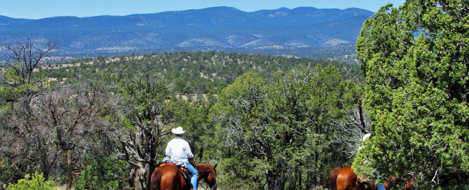 Learn how to get from Albuquerque to the Gila National Forest.