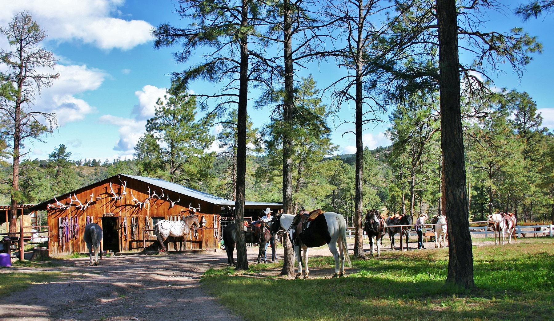 6 Tips For Planning Your Best Dude Ranch Vacation - Geronimo Ranch