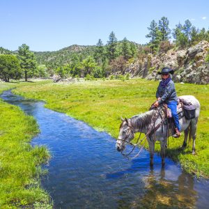 8 Ways to Practice Social Distancing at Geronimo Trail Guest Ranch