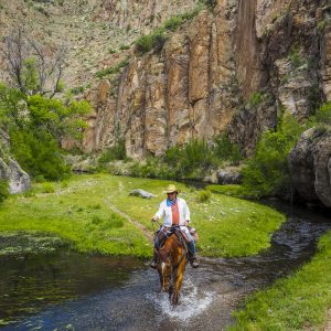 Why You Need a New Mexico Digital Detox