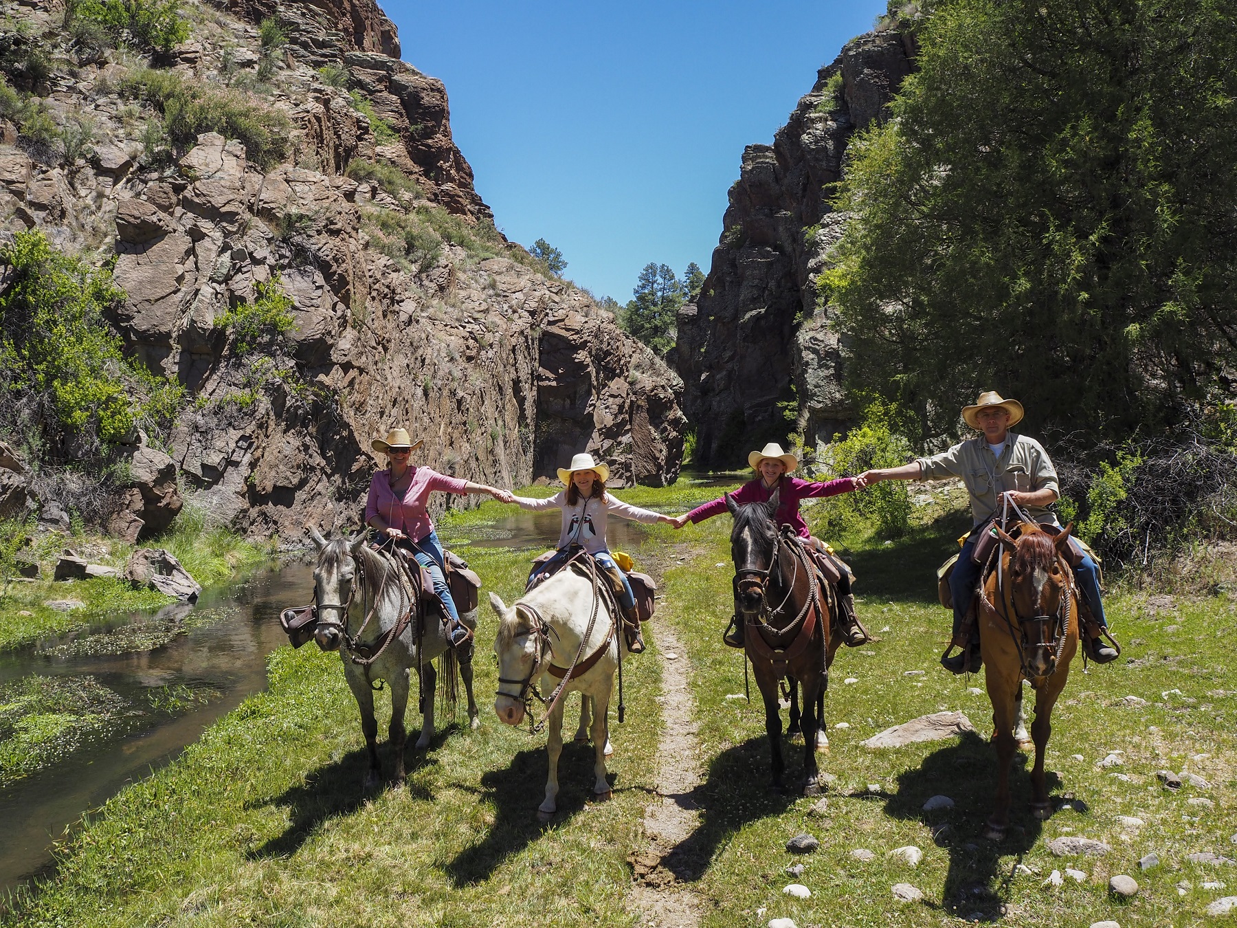 family trip new mexico