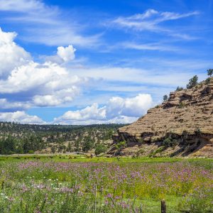 Get Your Custom New Mexico Itinerary